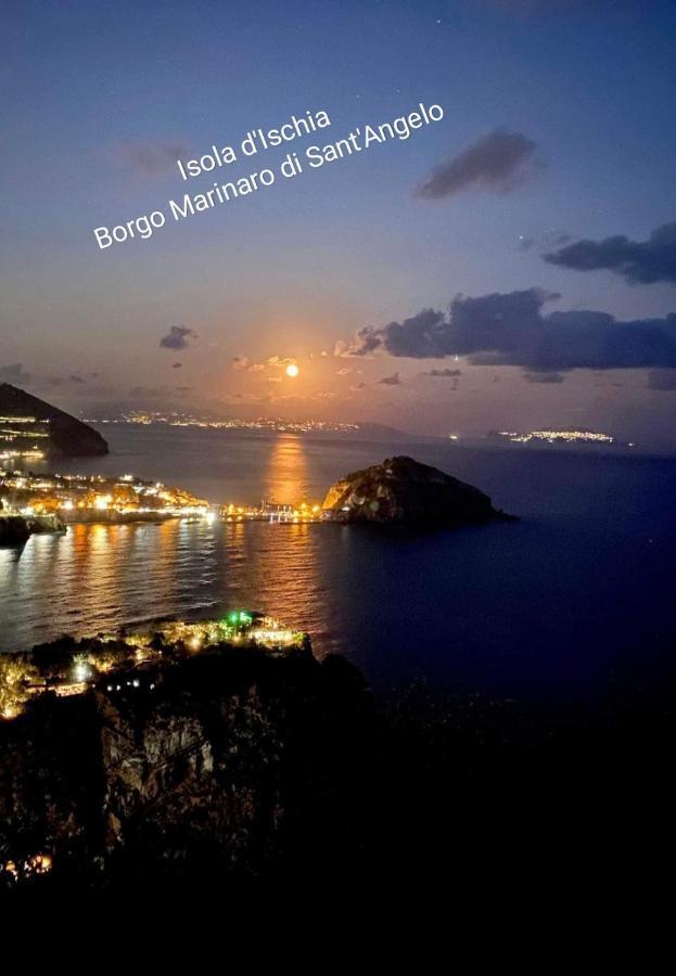 Holidayhomeischia *